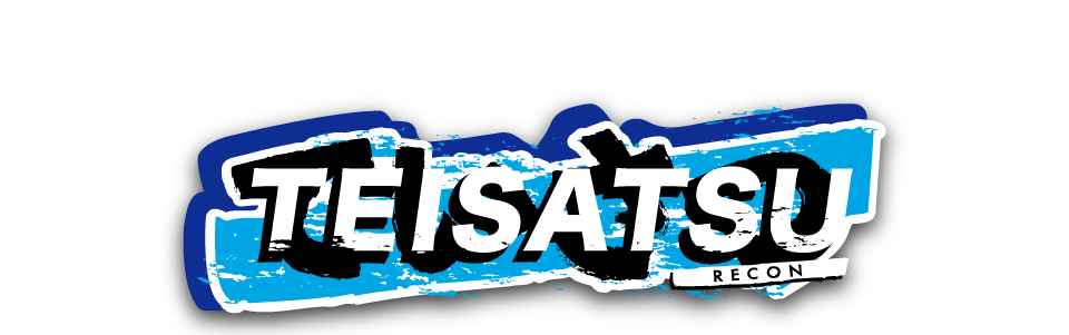 TEISATSU